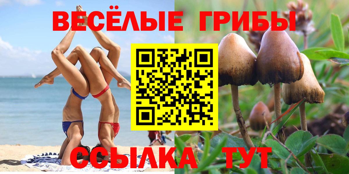 Галлюциногенные грибы прущие грибы Нижнекамск